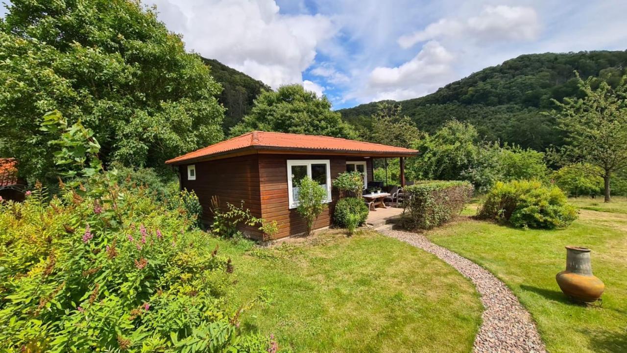 Ferien Langer Grund Mitten Im Wald Apartment *
