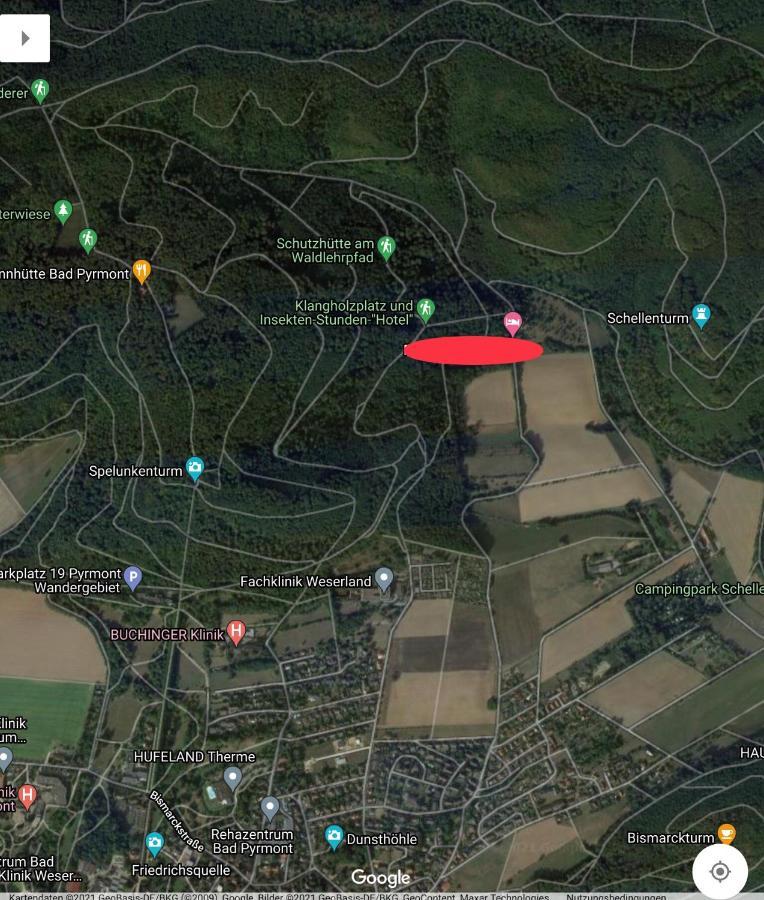 Ferien Langer Grund Mitten Im Wald * Bad Pyrmont