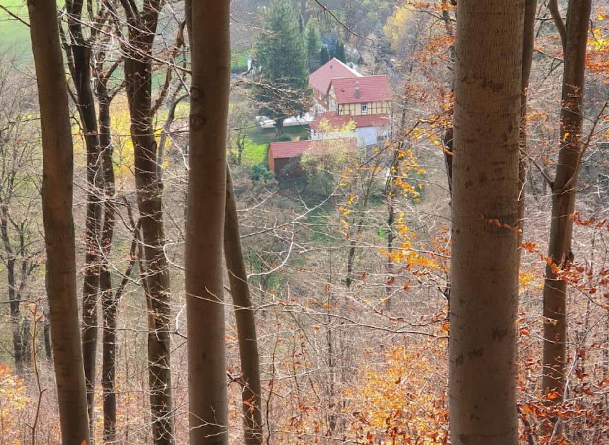 Ferien Langer Grund Mitten Im Wald * Bad Pyrmont