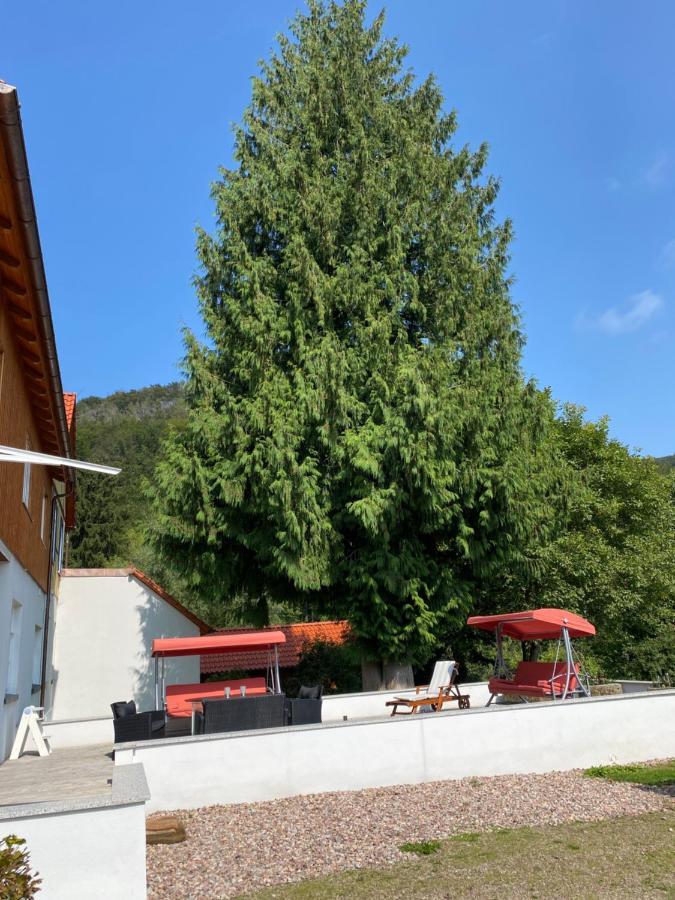 Ferien Langer Grund Mitten Im Wald *