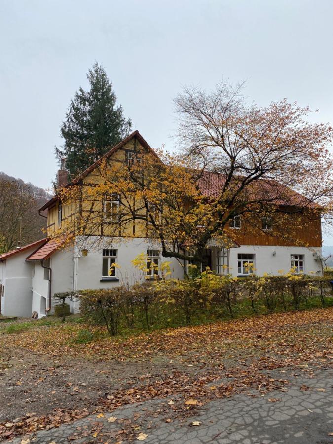 Ferien Langer Grund Mitten Im Wald Apartment *